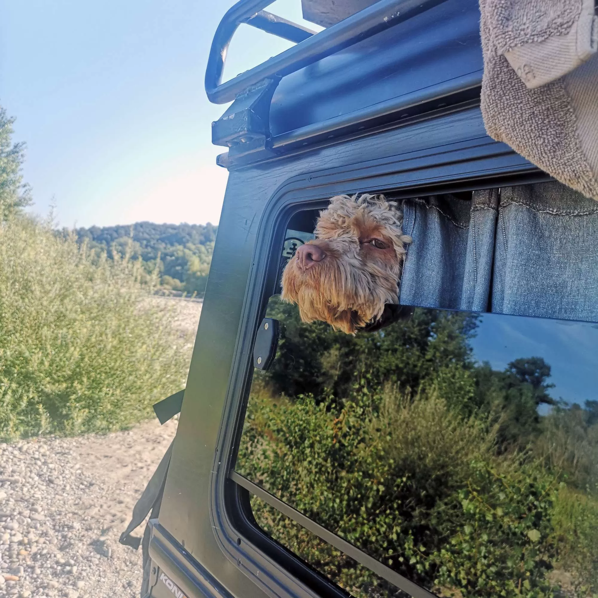 Dog looking out of an Explore Glazing halfdrop window on a Land Rover Defender 90/110, with scenic outdoor background.